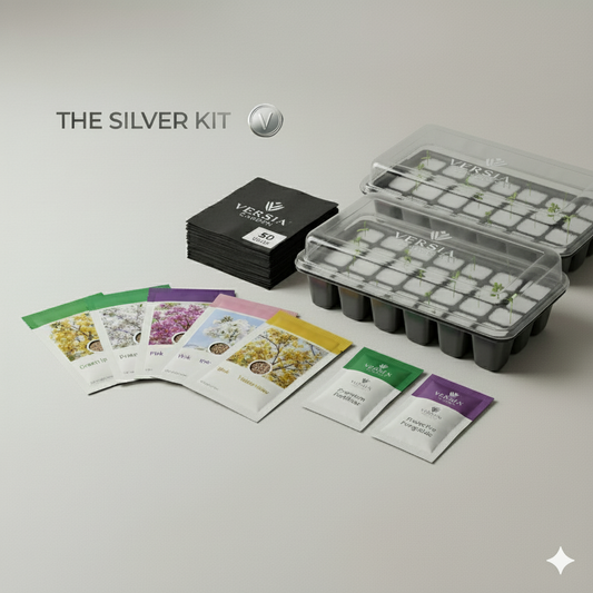 Silver Hibiscus Planting Kit | Hibiscus Seeds